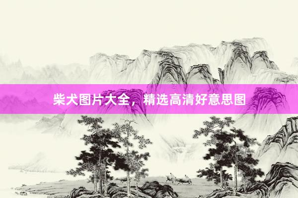 柴犬图片大全，精选高清好意思图