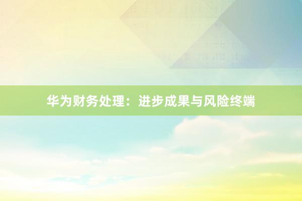 华为财务处理：进步成果与风险终端