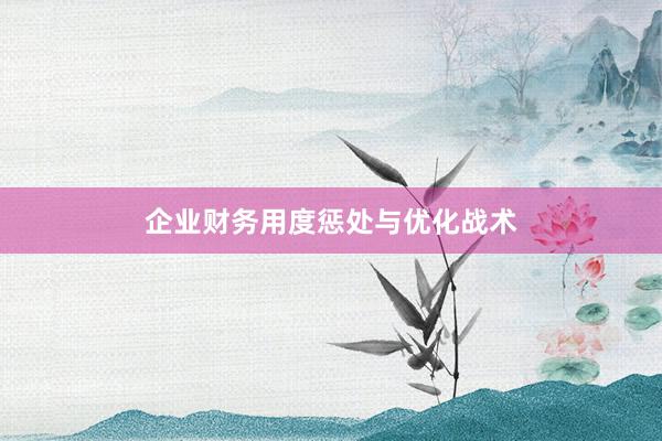 企业财务用度惩处与优化战术